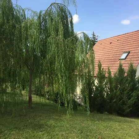 La Pimentelly * Chessy (Seine-et-Marne)